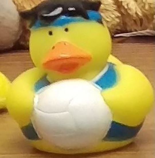 Picture of Volleyball Duck