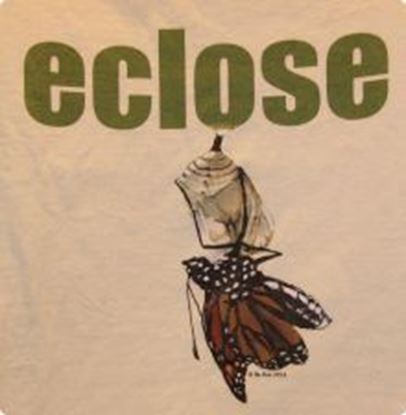 Picture of "Eclose" T-shirt