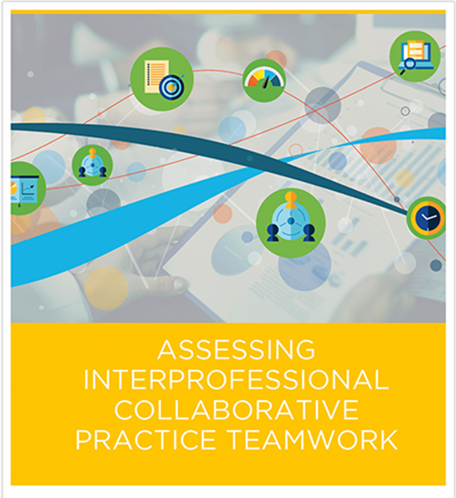 Picture of Volume 2: Assessing Interprofessional Collaborative Practice Teamwork