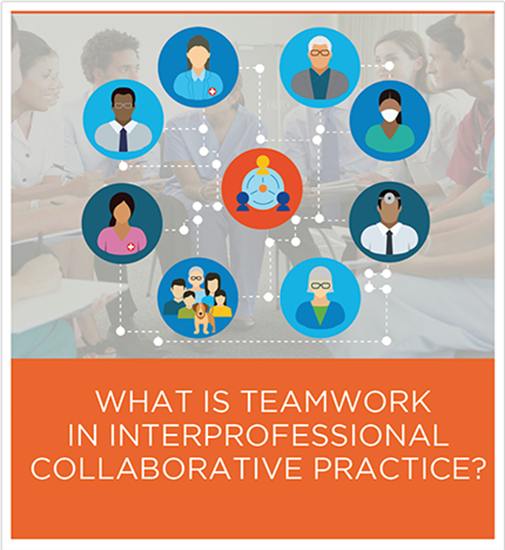 Picture of Volume 1: What is Teamwork in Interprofessional Collaborative Practice?