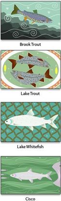 Picture of Note Cards - Truly Superior Fish - Set I