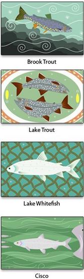 Picture of Note Cards - Truly Superior Fish - Set I