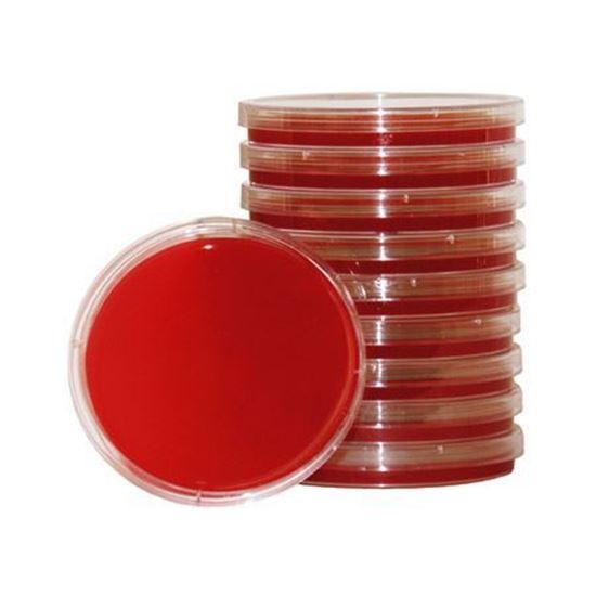 Picture of Blood Plate (18ml/plate)